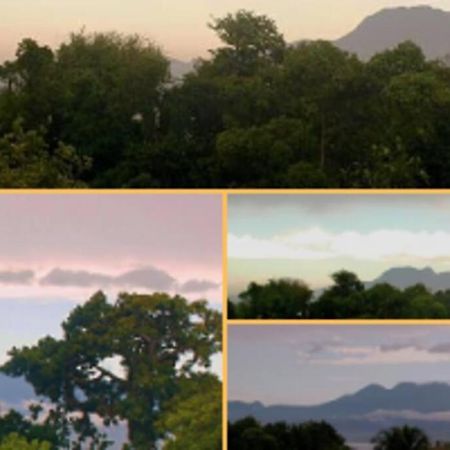 Jolie Studette Dans Un Environnement Arbore Les Abymes Ngoại thất bức ảnh