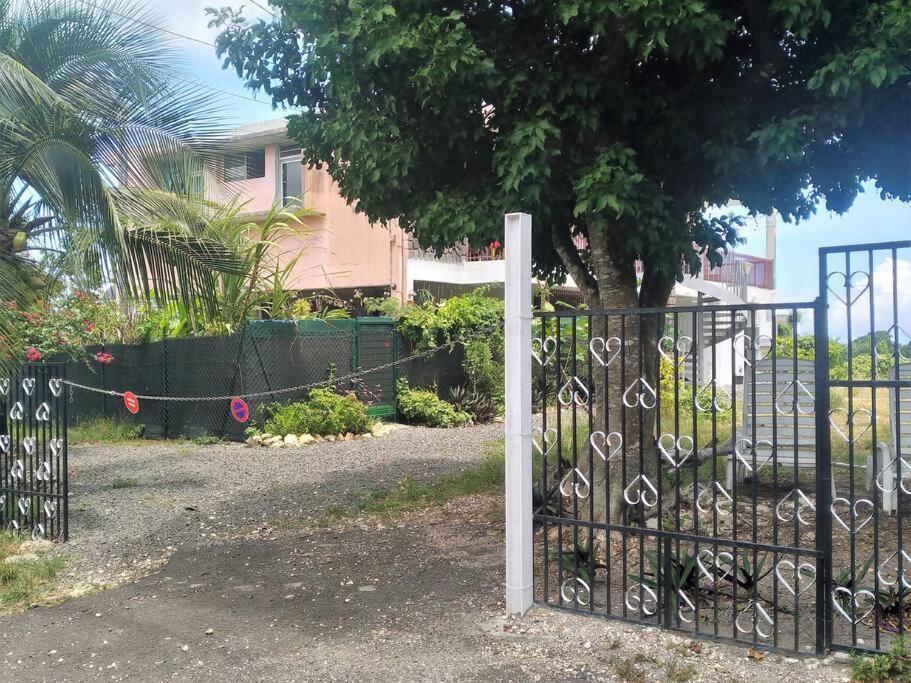 Jolie Studette Dans Un Environnement Arbore Les Abymes Ngoại thất bức ảnh